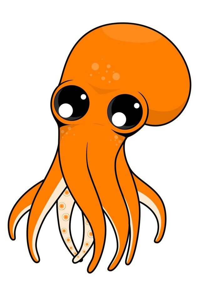 Squid Drawing