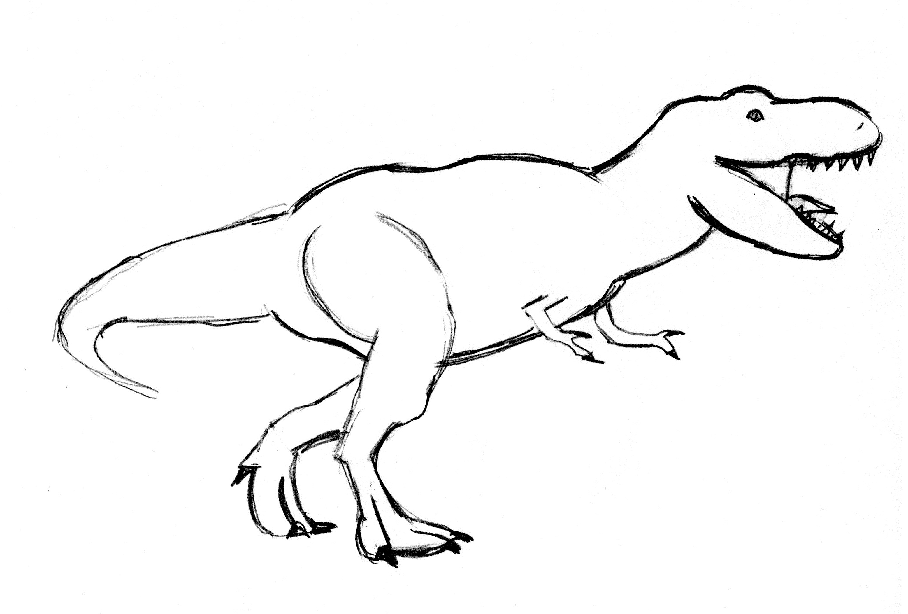 T Rex Drawing Modern Sketch