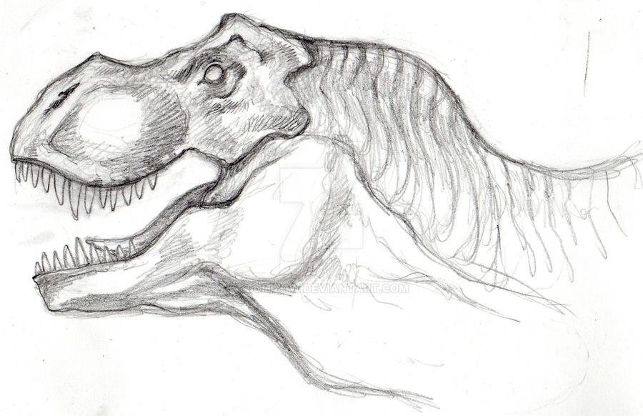 T Rex Drawing Realistic Sketch