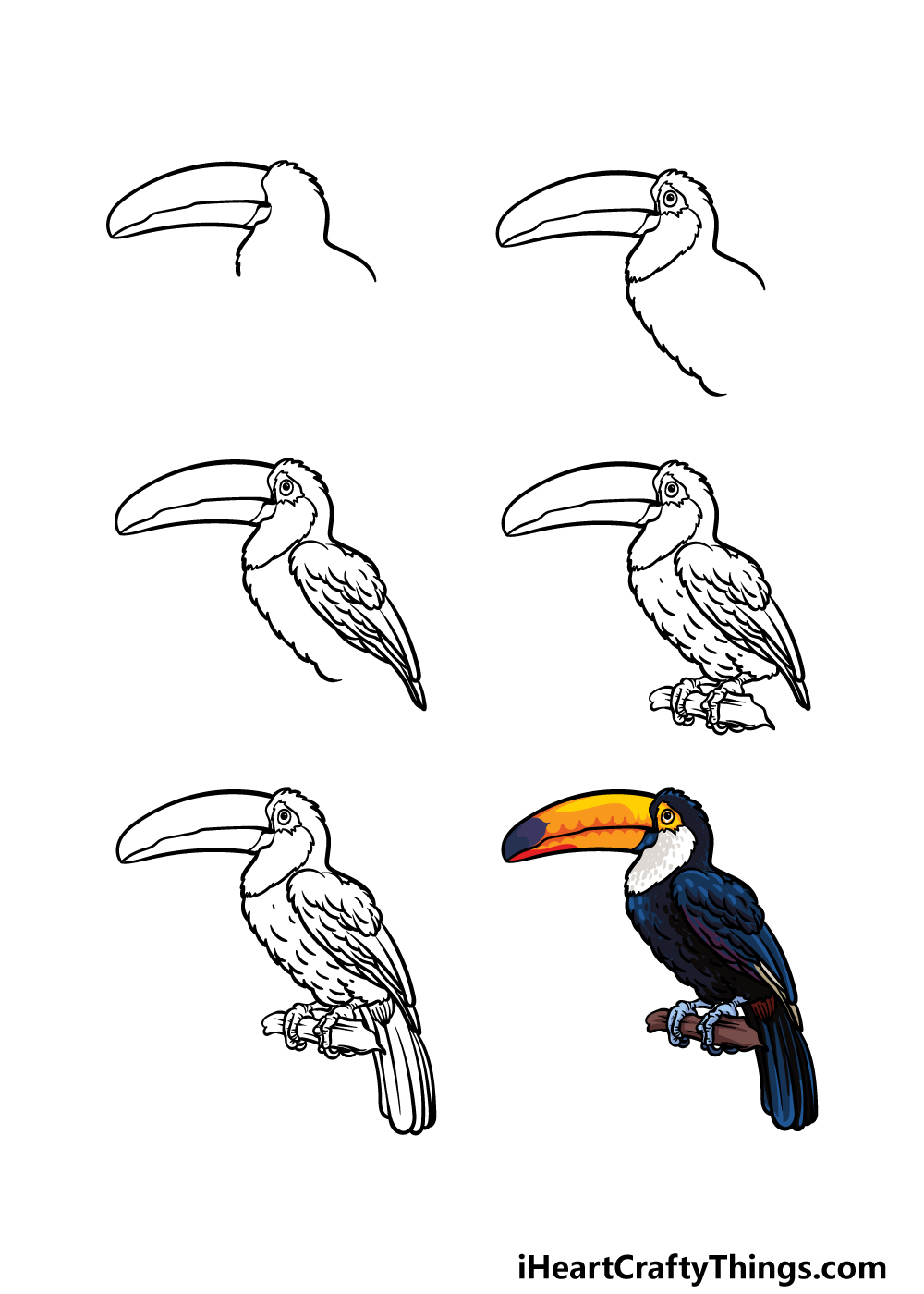 Toucan Drawing Amazing Sketch