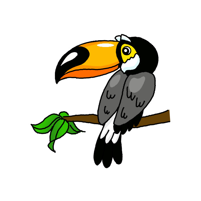Toucan Drawing Creative Style