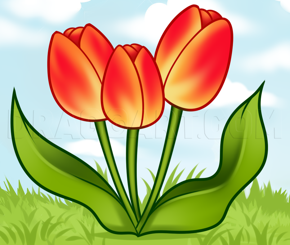 Tulips Drawing Art