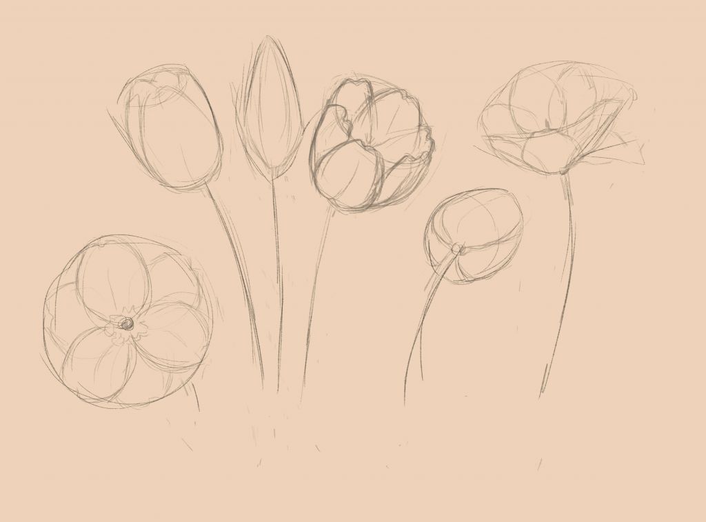 Tulips Drawing Intricate Artwork
