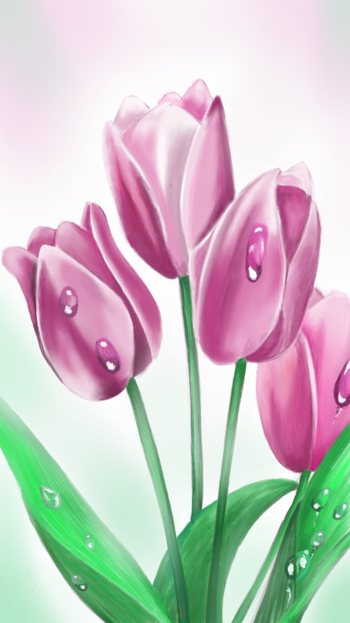 Tulips Drawing Modern Sketch