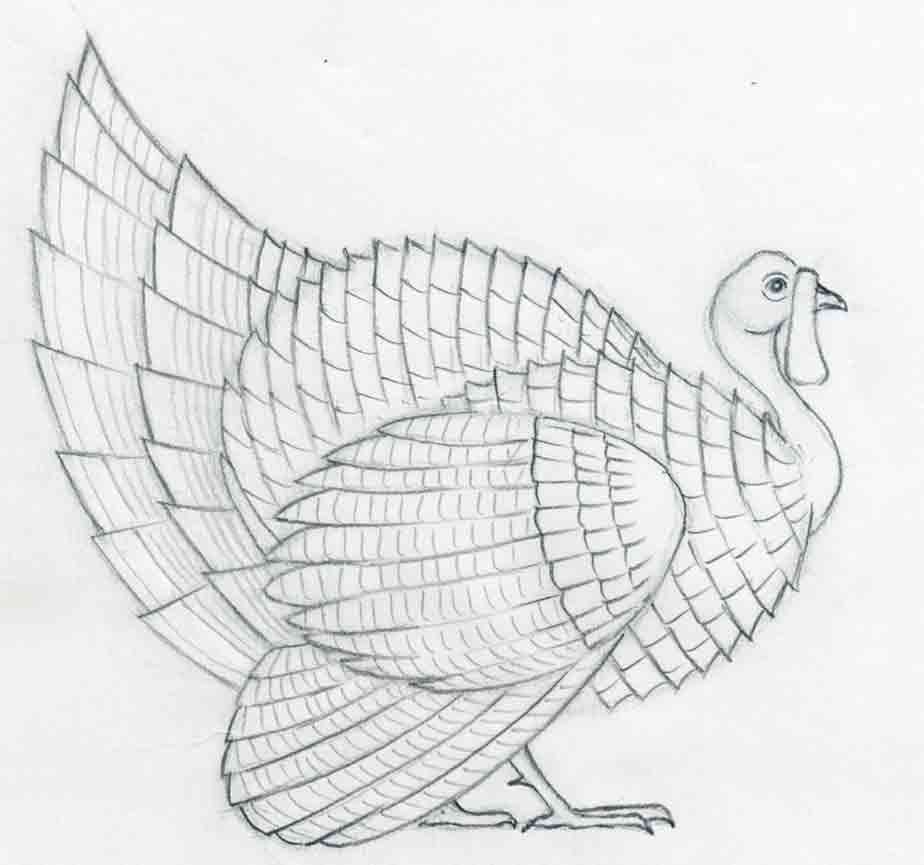 Turkey Drawing Hand Drawn Sketch