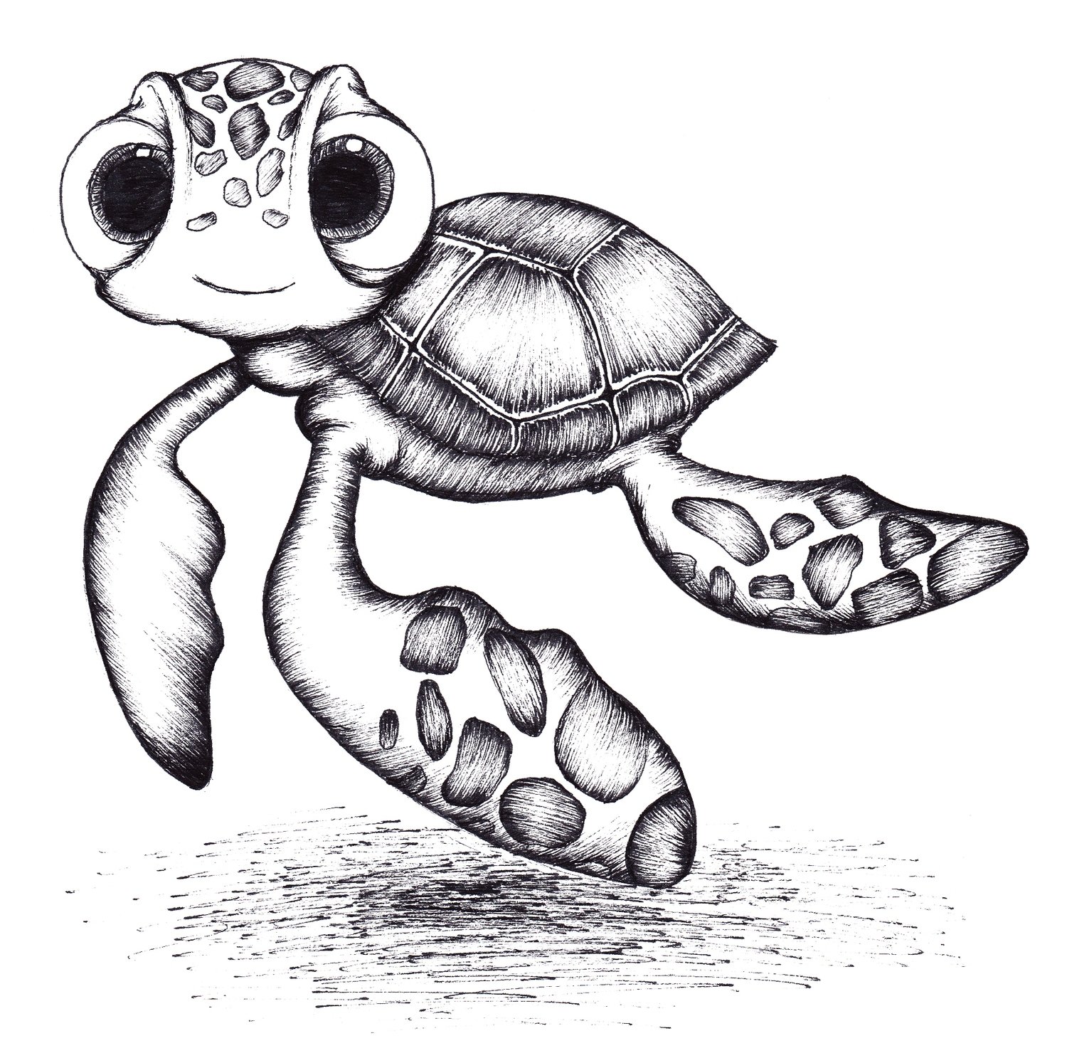 Turtle Drawing Creative Style