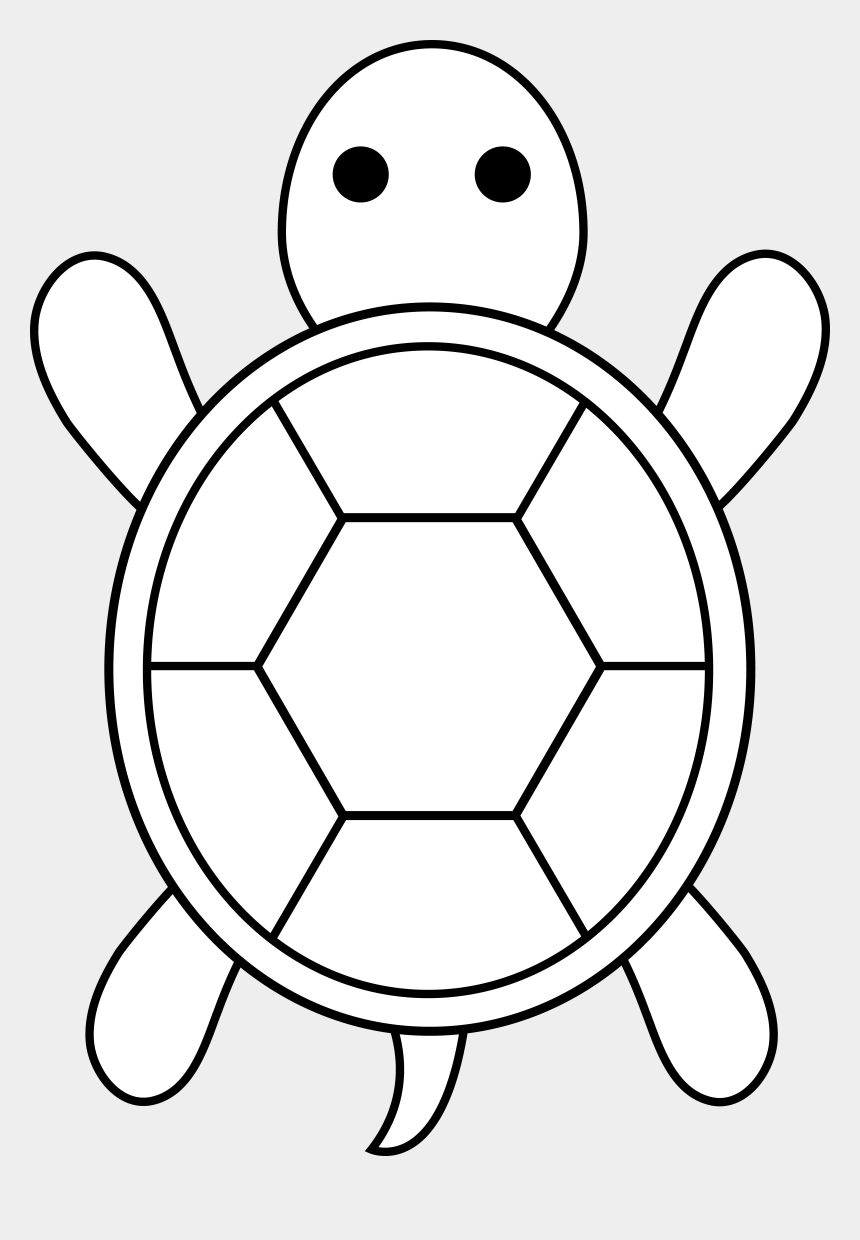 Turtle Drawing Hand Drawn
