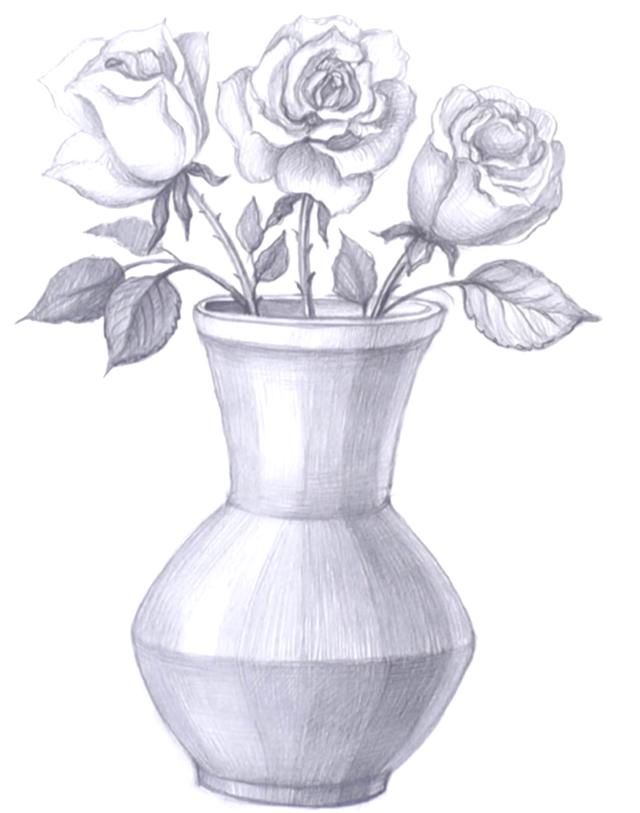 Vase Drawing Picture