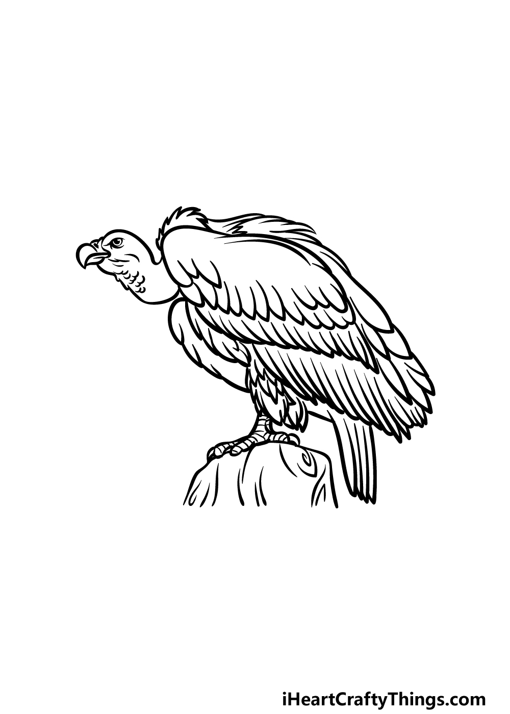 Vulture Drawing Intricate Artwork