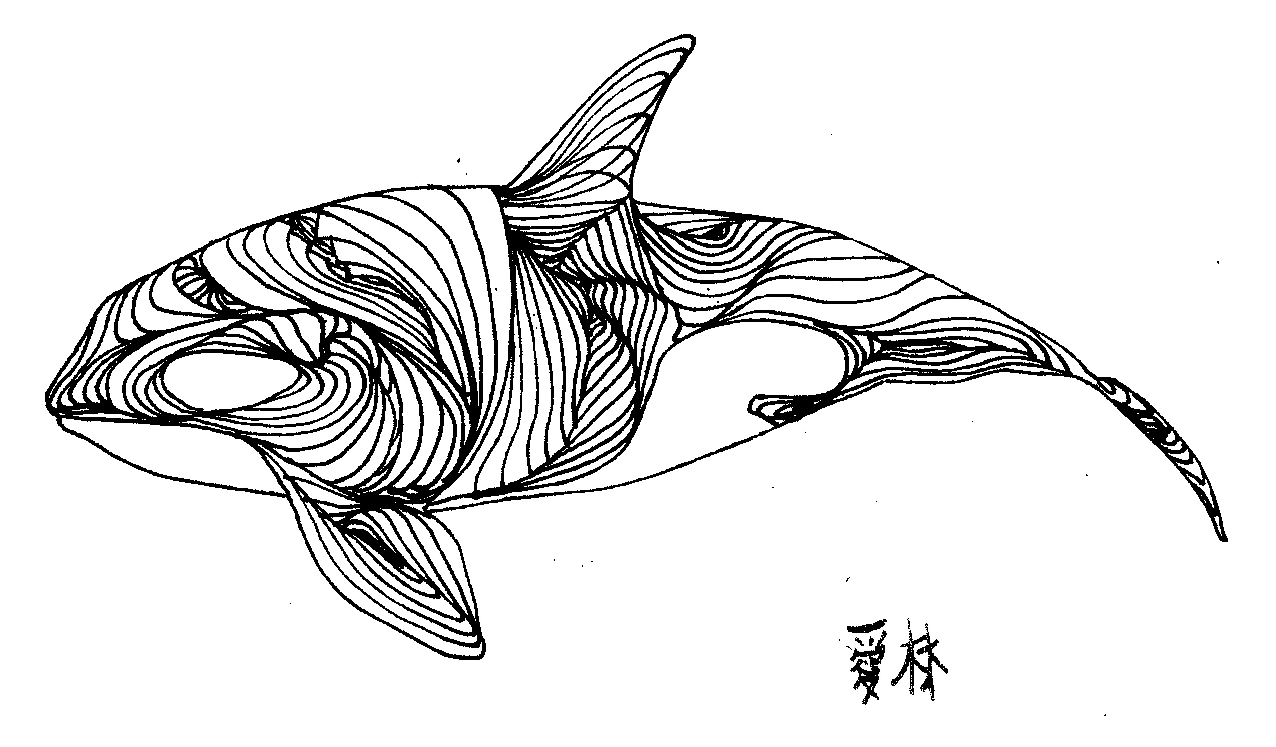 Whale Drawing Photo