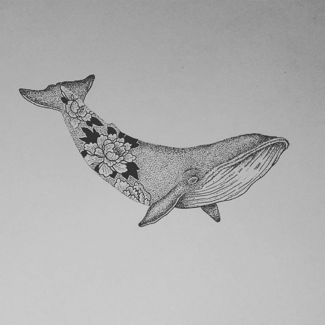 Whale Drawing Realistic Sketch