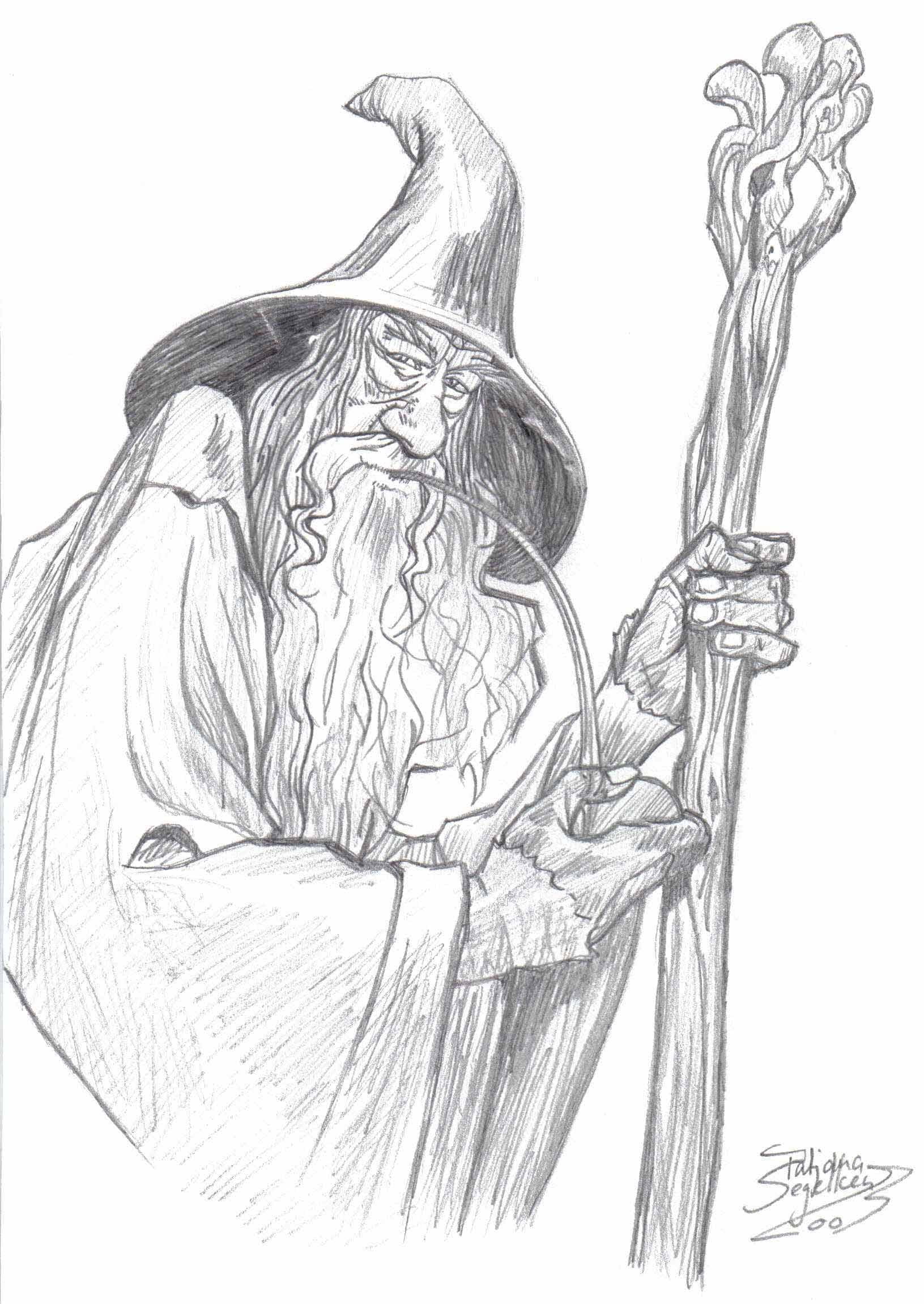 Wizard Drawing Creative Style