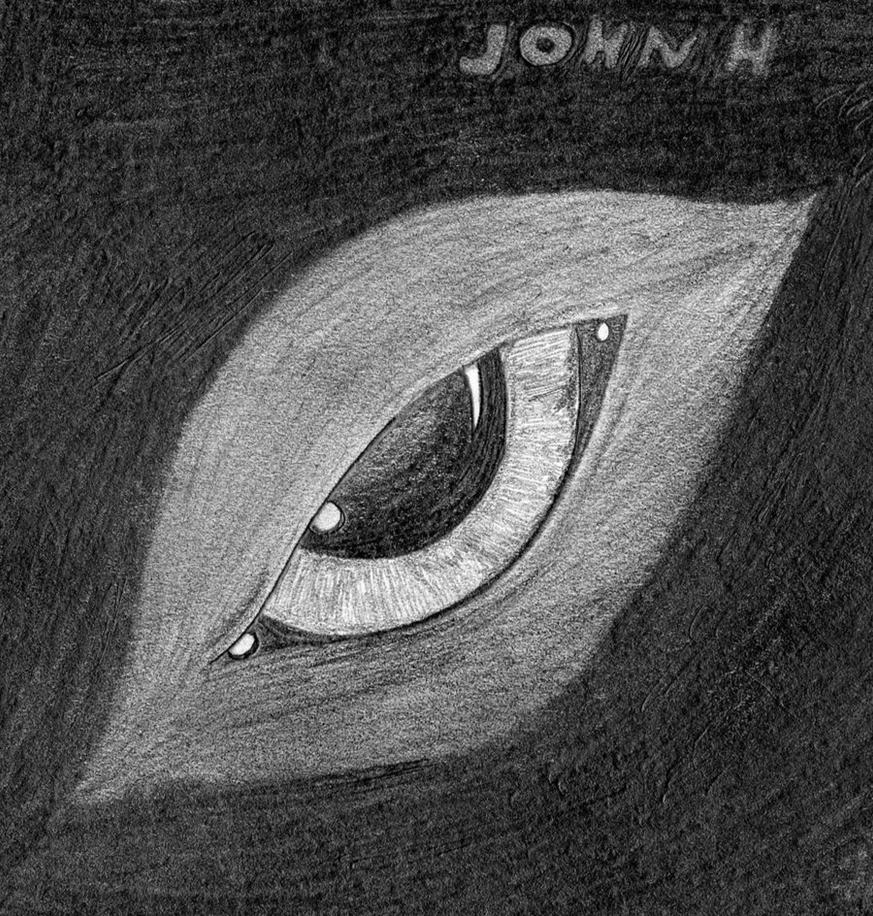 Wolf Eye Drawing Art