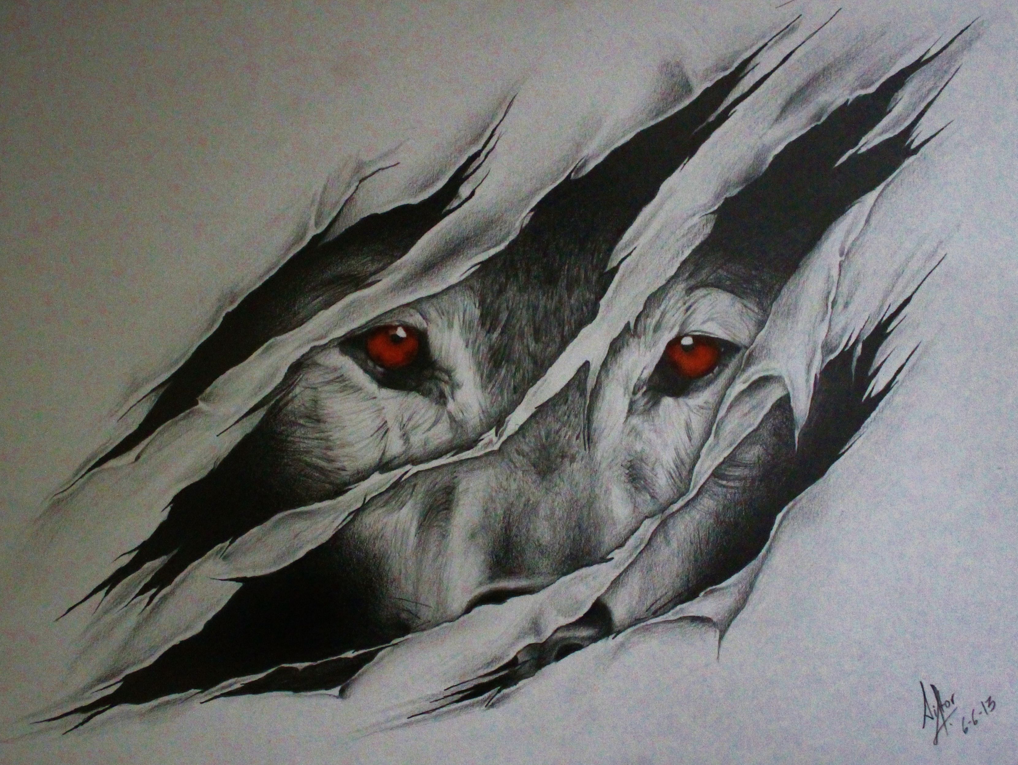 Wolf Eye Drawing Detailed Sketch
