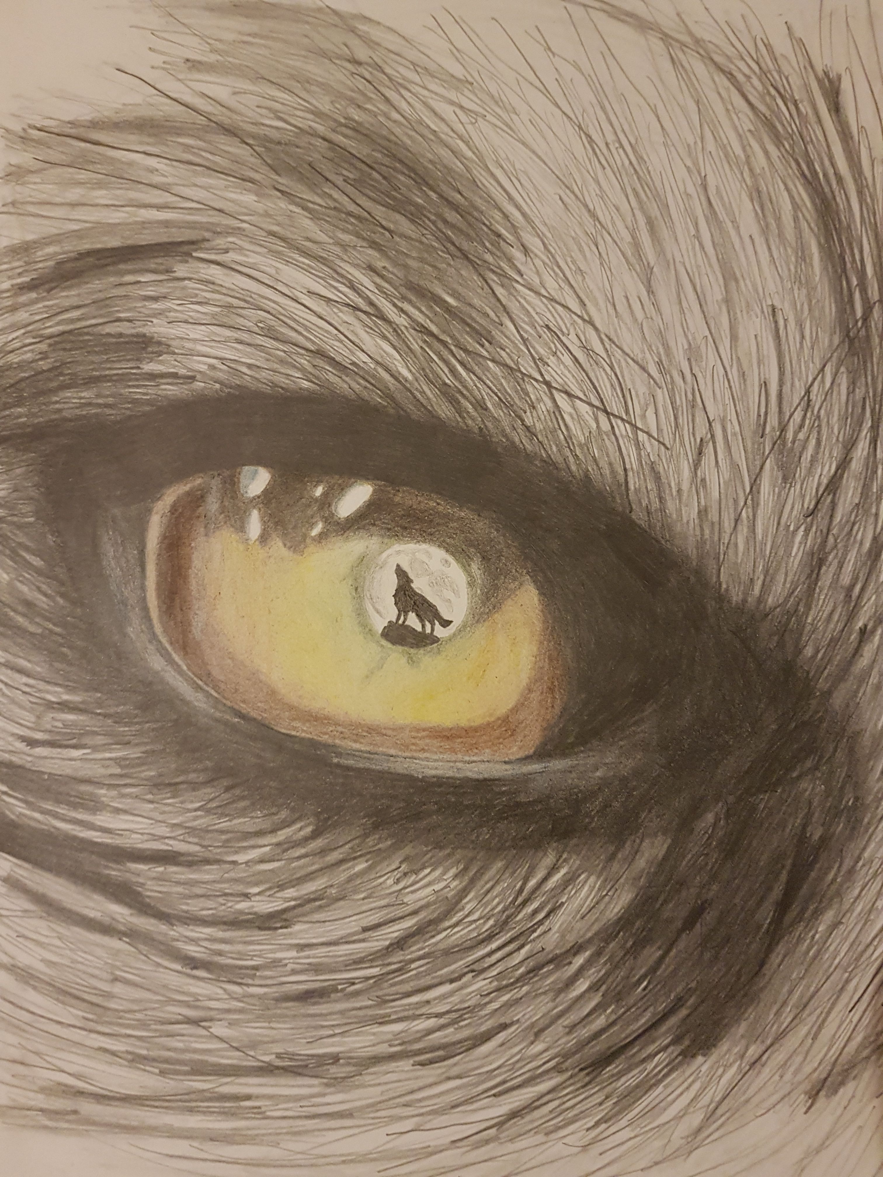 Wolf Eye Drawing Intricate Artwork