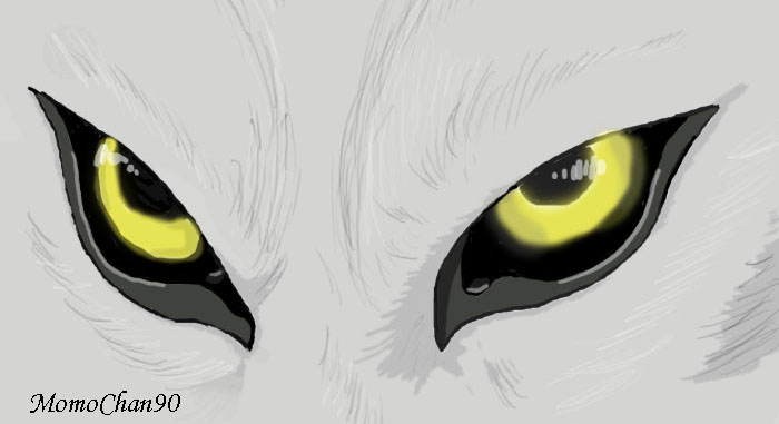 Wolf Eye Drawing Picture