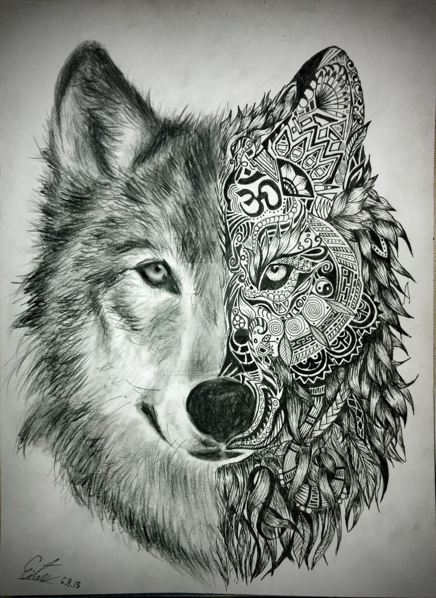 Wolf Face Drawing Stunning Sketch