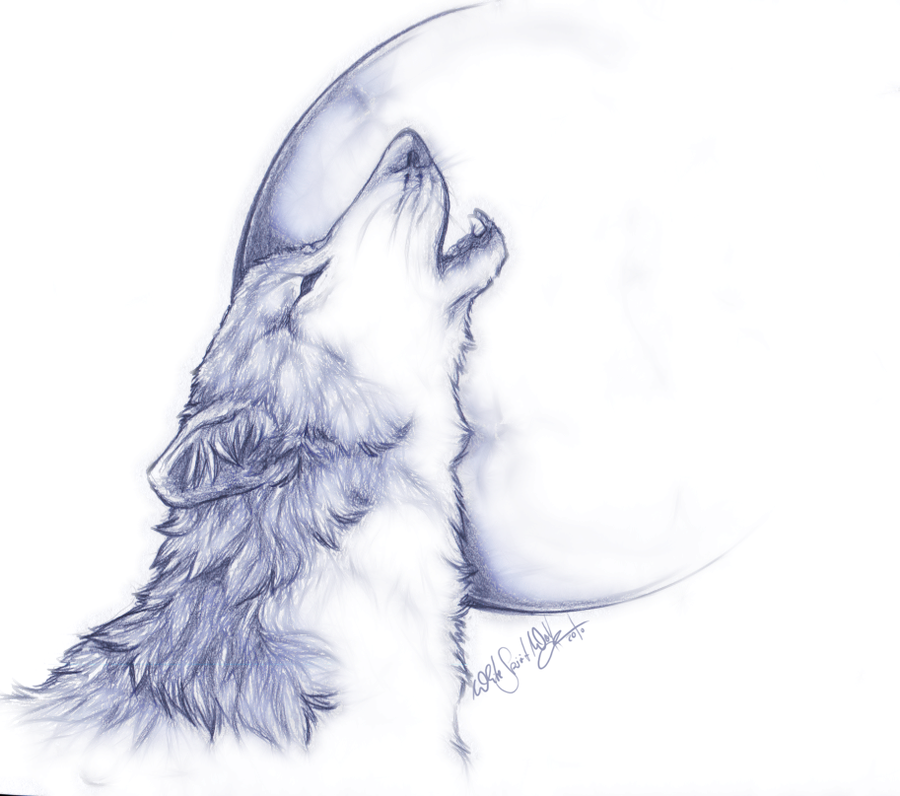 Wolf Howling At The Moon Drawing Amazing Sketch