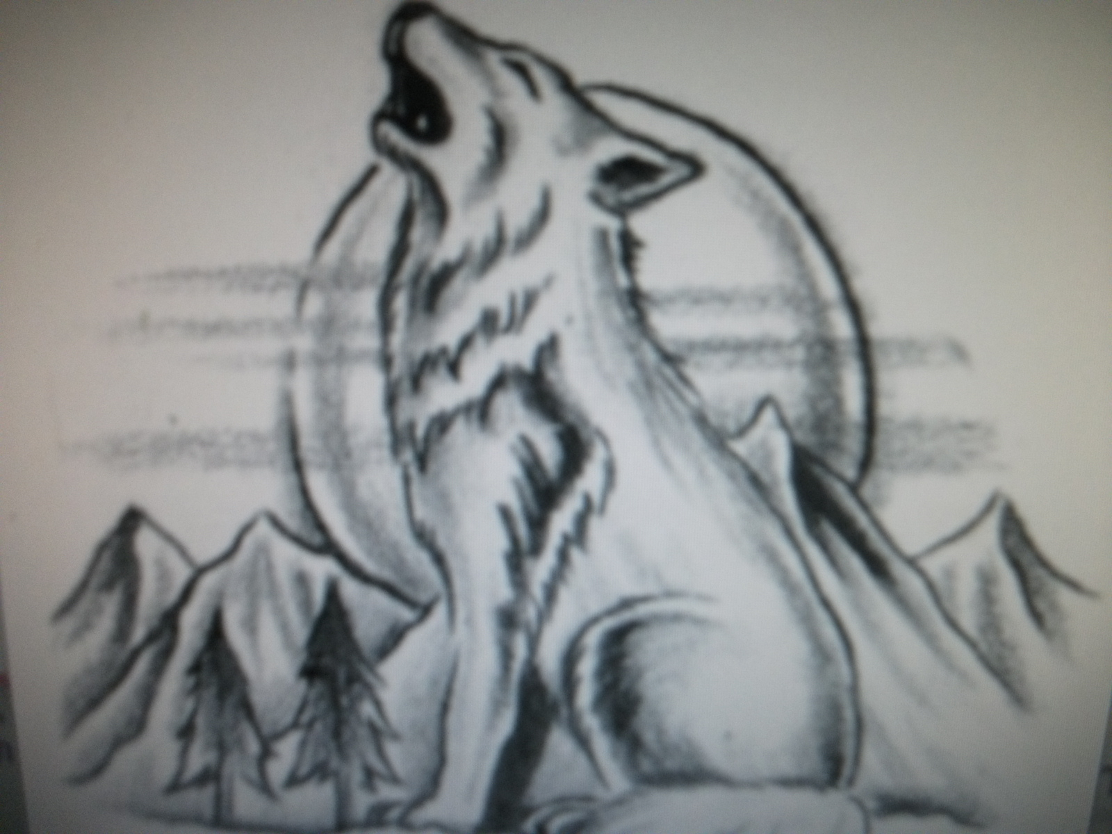 Wolf Howling At The Moon Drawing Fine Art