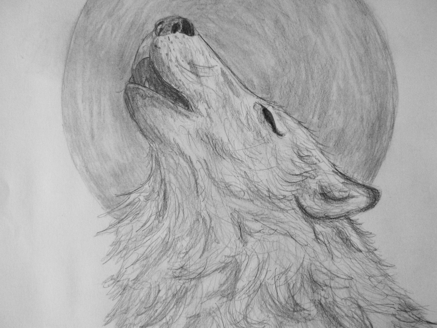 Wolf Howling At The Moon Drawing Intricate Artwork