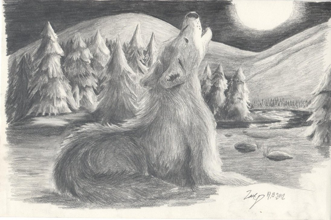 Wolf Howling At The Moon Drawing Modern Sketch