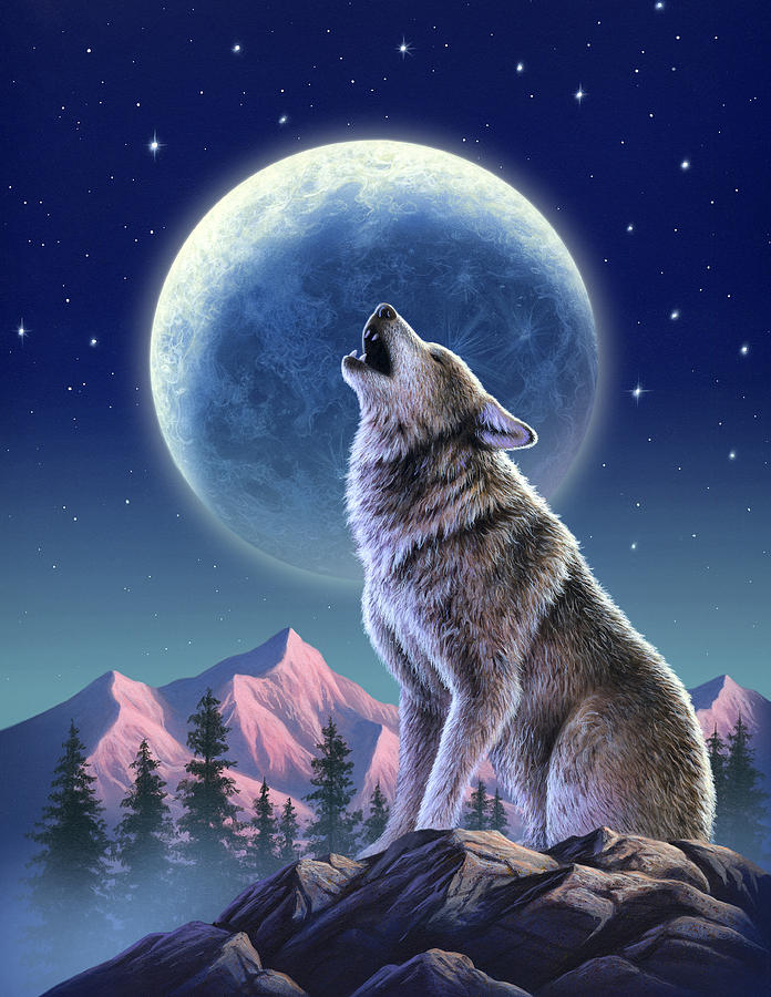 Wolf Howling At The Moon Drawing Realistic Sketch
