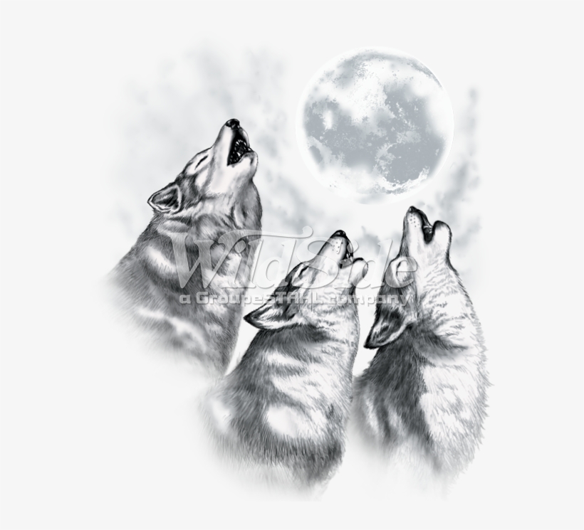Wolf Howling At The Moon Drawing Sketch