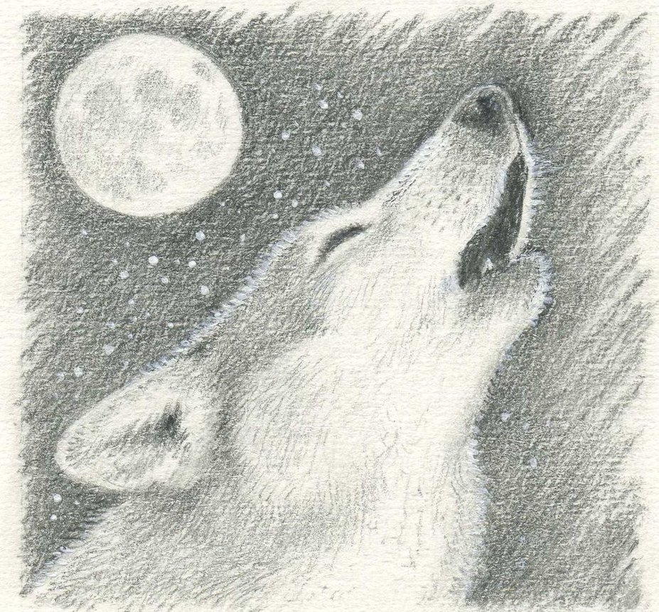 Wolf Howling At The Moon Drawing Stunning Sketch
