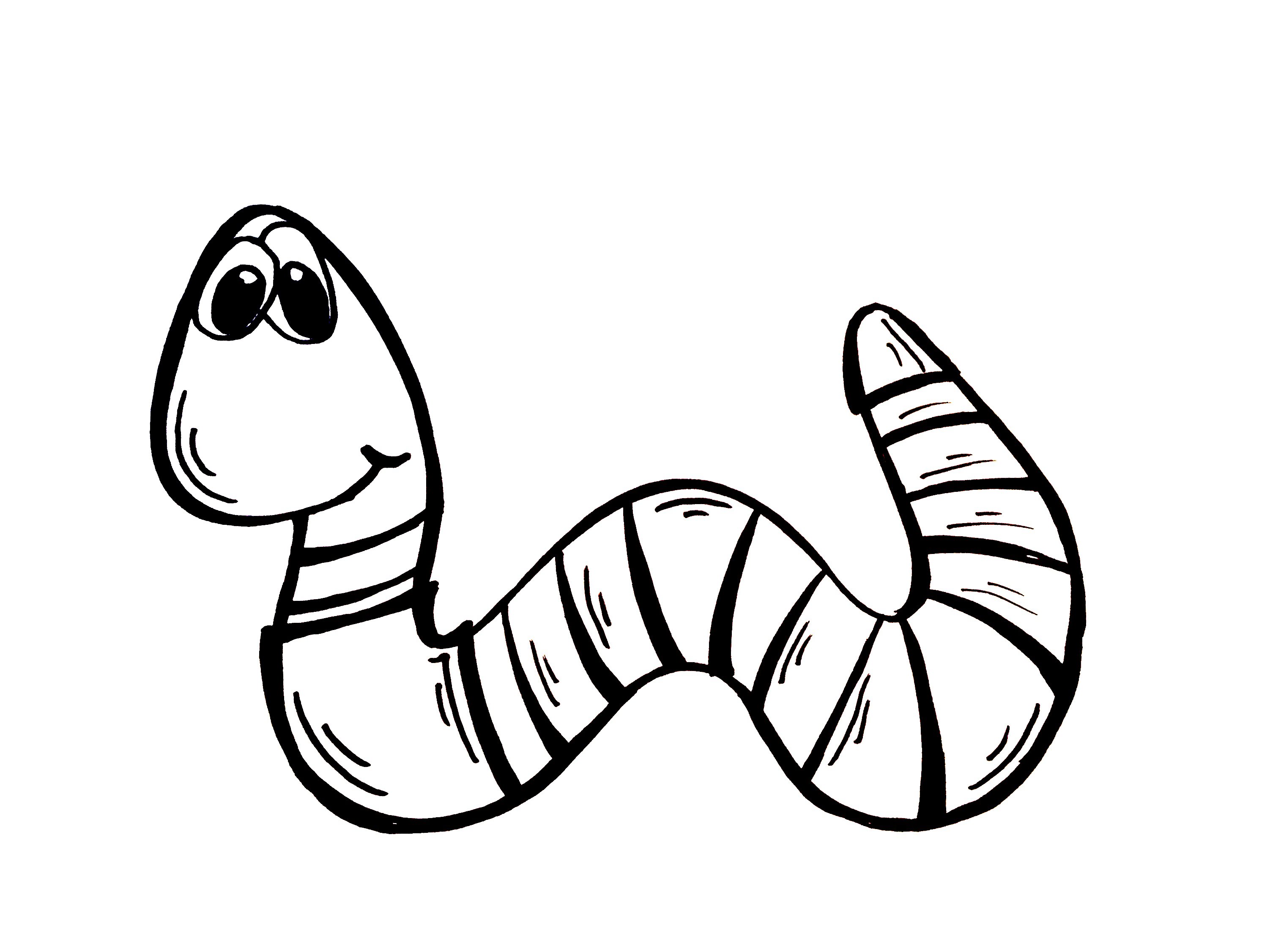 Worm Drawing Creative Style