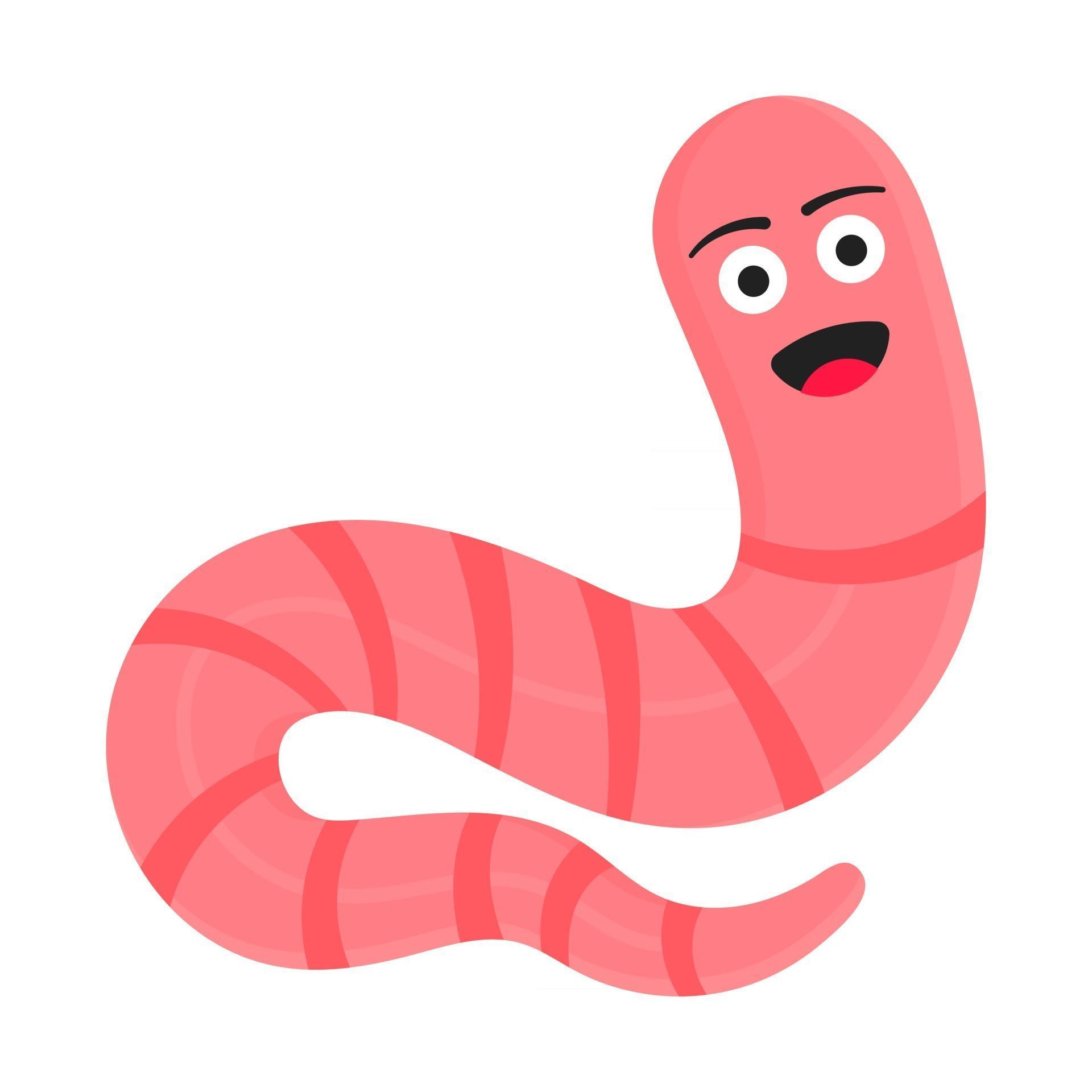 Worm Drawing